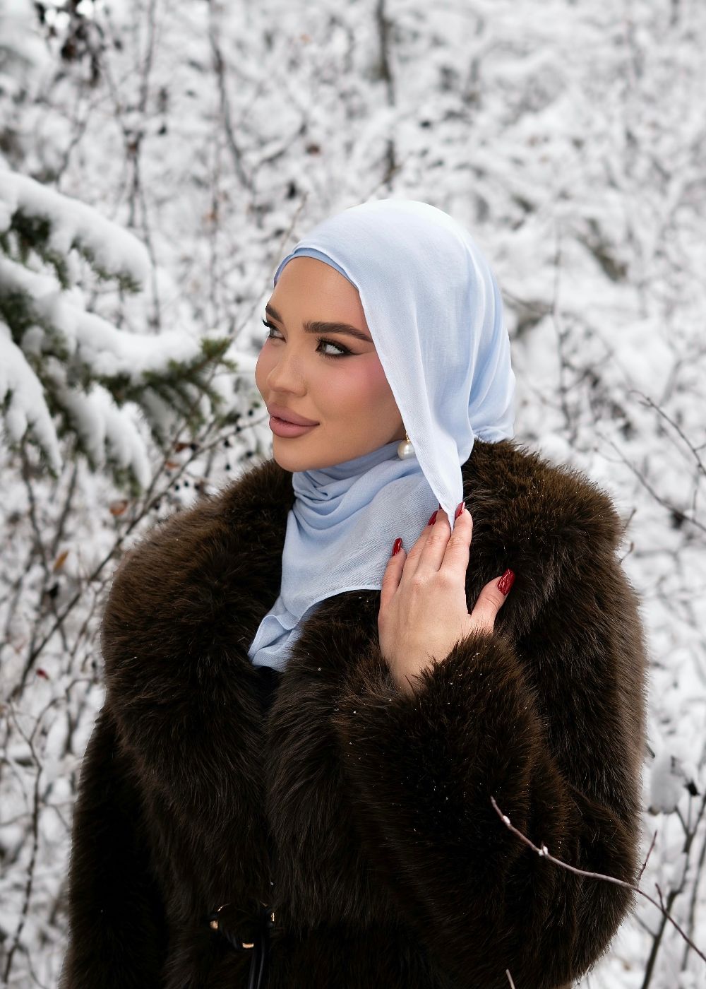 Snowflake Premium Modal