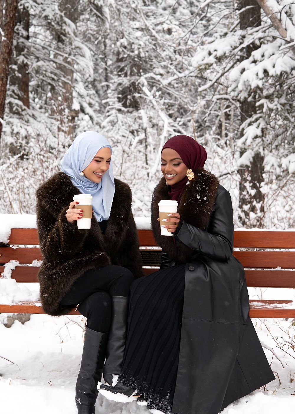 Snowflake Premium Modal