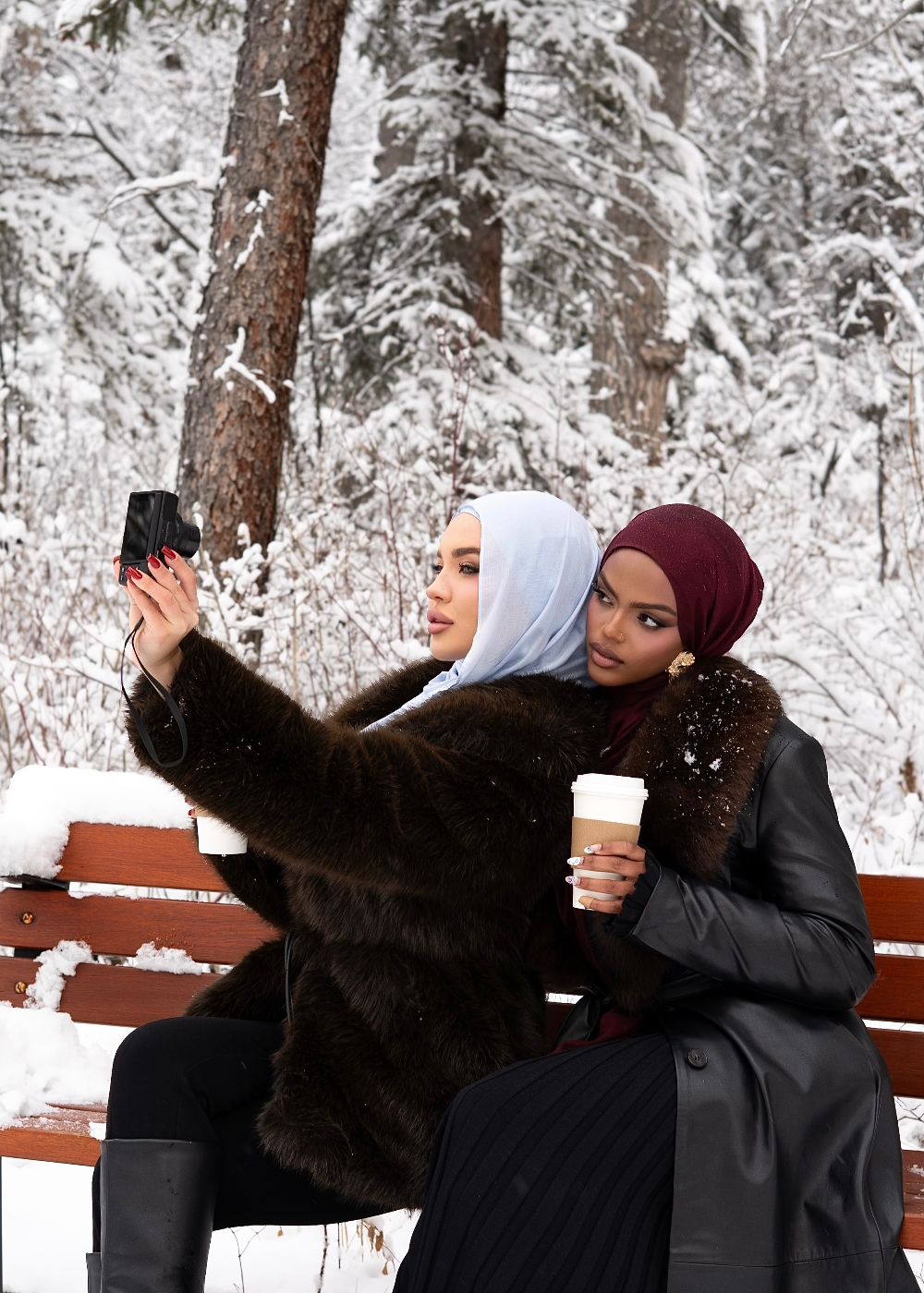 Snowflake Premium Modal