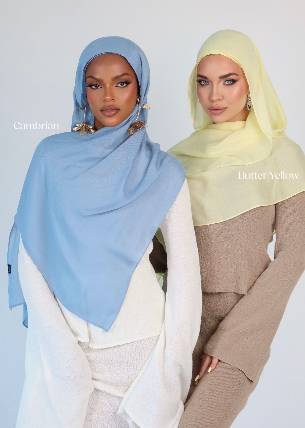 Cambrian Premium Modal