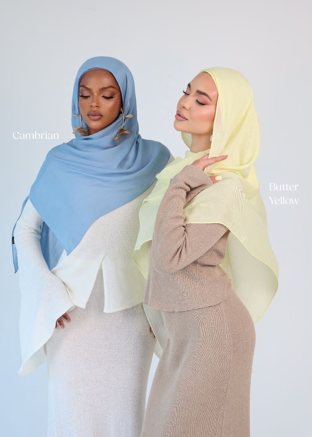 Cambrian Premium Modal