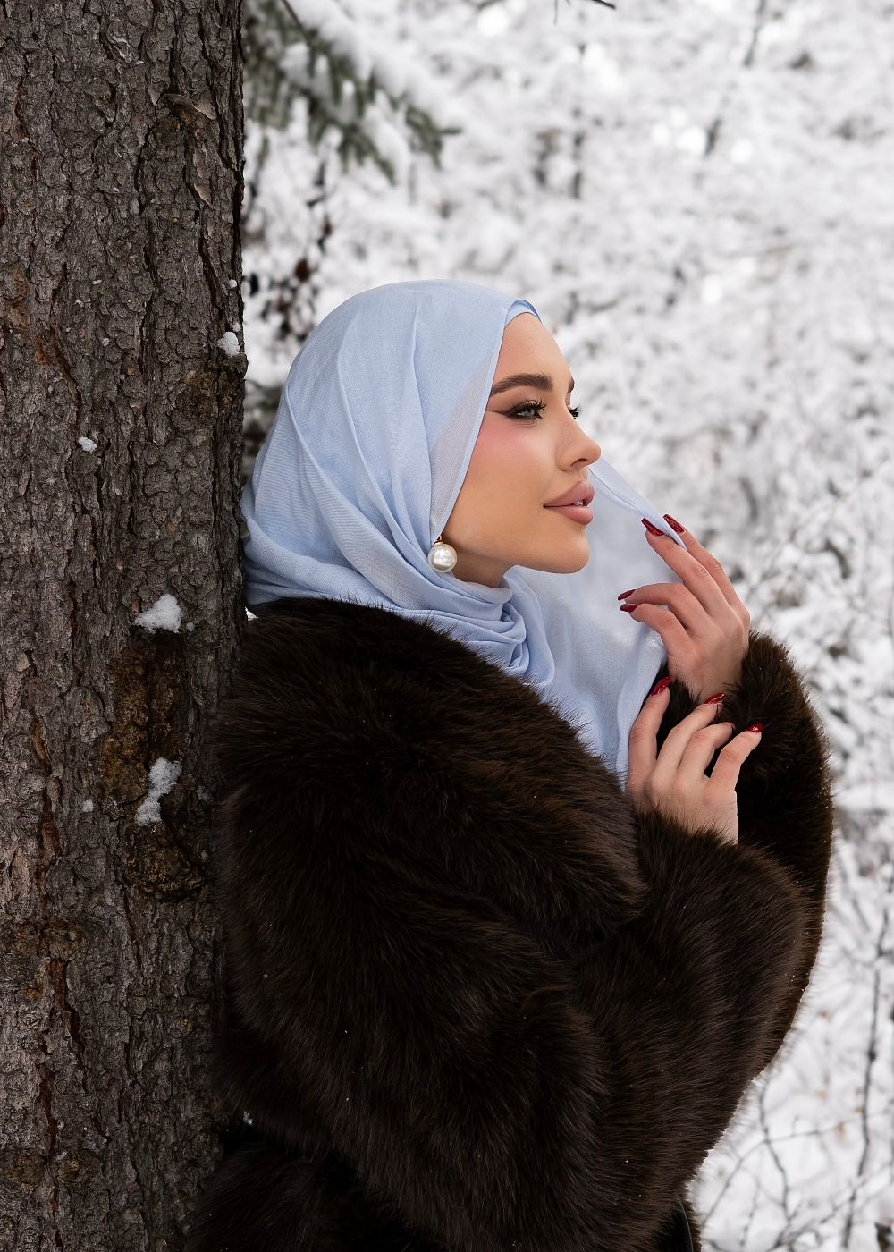 Snowflake Premium Modal