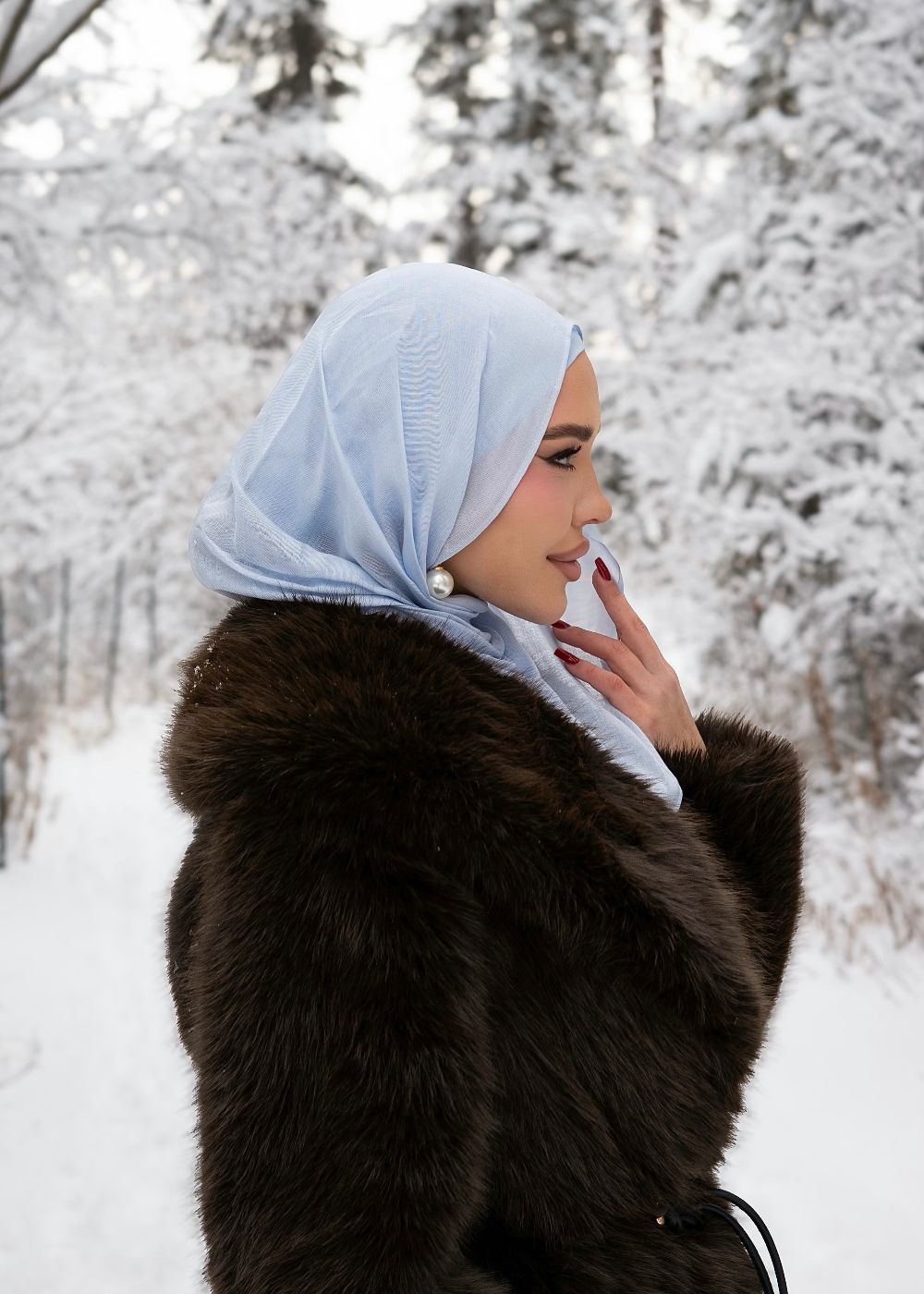 Snowflake Premium Modal