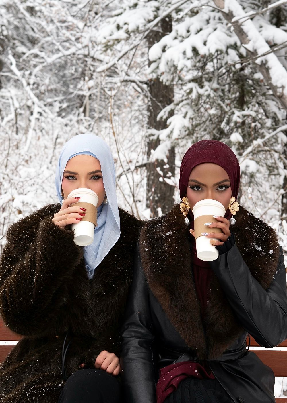 Snowflake Premium Modal