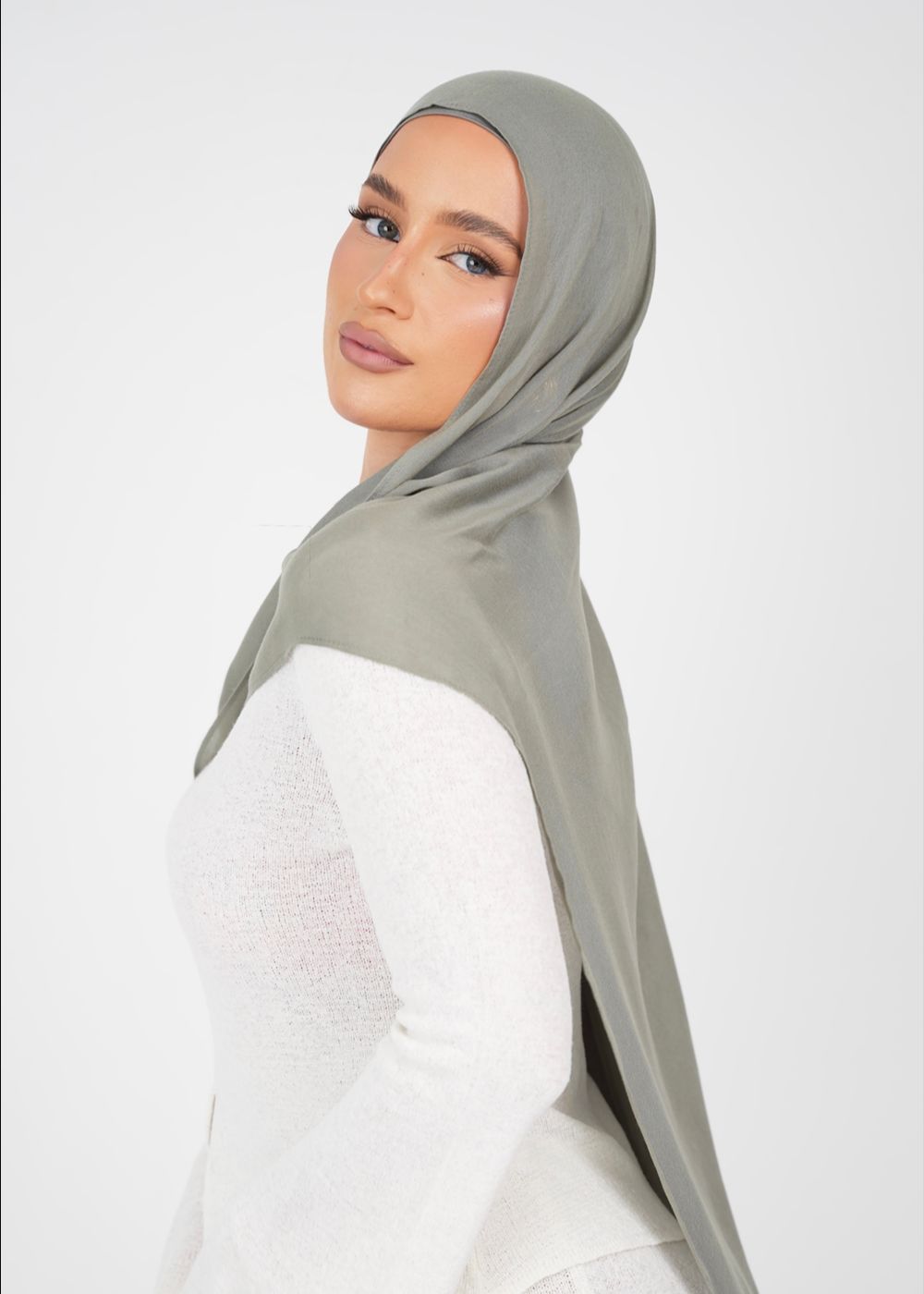 Zeolite Premium Modal